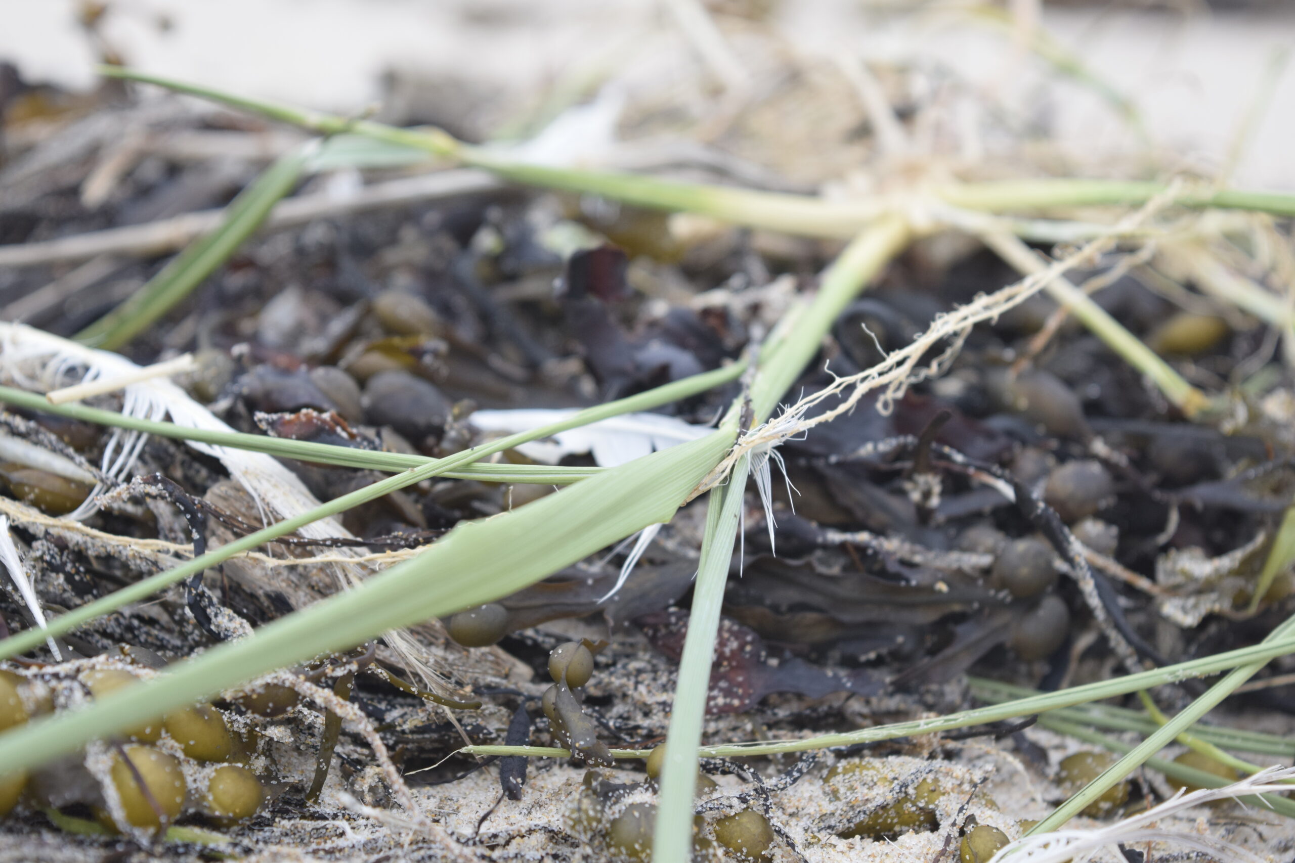 or will it be neither